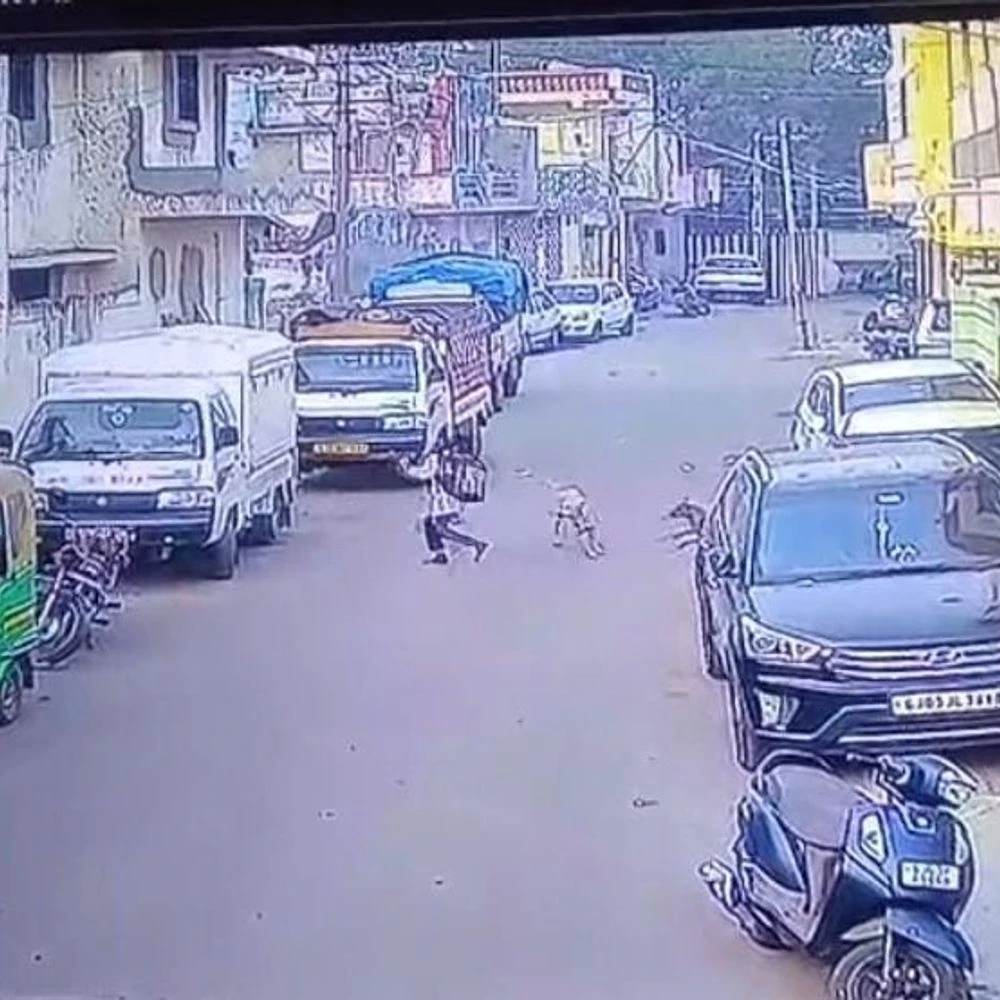 Stray dog terror in Maheshwari Society: Innocent children and residents under the cover of fear despite spending crores of rupees by Rajkot Corporation administration, CCTV footage has come to light