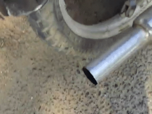 'Police beat him like an animal, kicked his genitals': Bullet without number plate and modified silencer alleged, ACP says - Caught policeman's collar