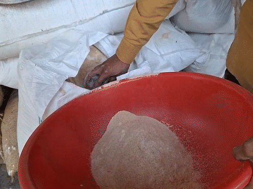 Junagadh farmer files petition in HC against 'poison' sold in the name of animal feed: Court issues notice to BIS and FSSAI, asks them to appear on January 29; Poison in the stomach of an animal is fatal to humans