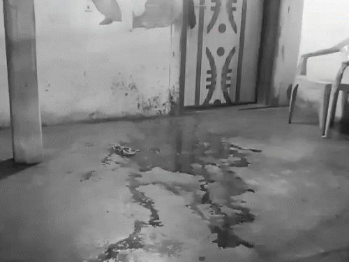 Mentally unstable son brutally murders mother: Mother killed with iron rod wounds, blood pools filled with blood; Detention of the accused