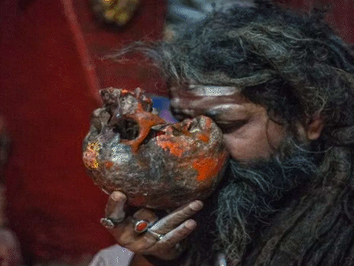 What is the mysterious world of Naga sadhus and aghoris?: Aghoris eat human flesh in their skulls, peeks into the world of sadhus at Bhavnath fair
