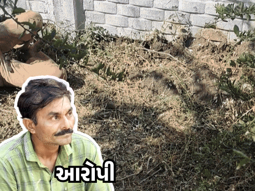 Man arrested for murdering youth of Adhewada: Bhavnagar LCB found a link of a bike and reached the killer, touched the woman and ended it