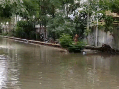 Gujarat University's Samras Girls' Hostel Flooded With Rainwater: No Disposal Even After Two Days, Student Says Mosquitoes Increase Chances of Infection
