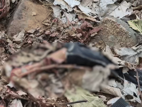 12-year-old Mayur Singh's remains found in forest, barely climbed 50 steps to be attacked by a lion while climbing Girnar by holding his uncle's hand; 6 Incidents in 25 Days