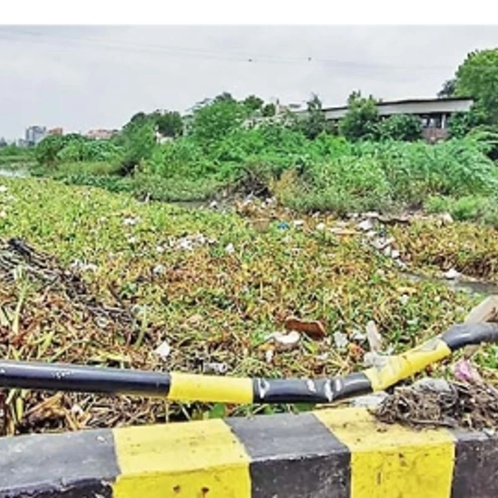 Fake message of 'Solve' sent to citizens without working: Grill of Aji river built 2 months ago washed away in floods, well not removed despite more than 50 complaints