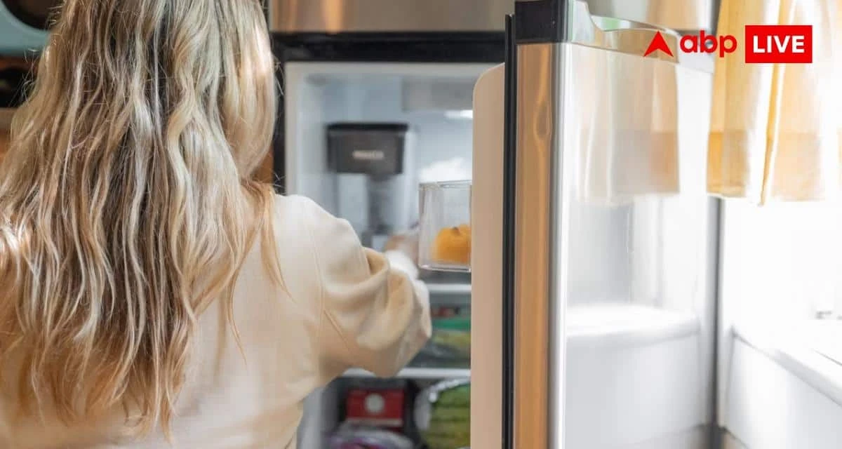 Why is this small fridge filter special? Know when and how to clean
