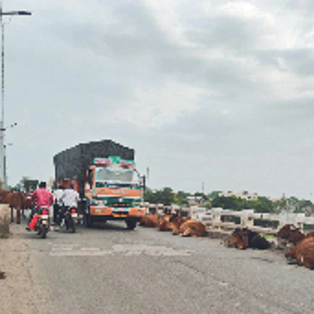 People are facing difficulties due to traffic jams: On the one hand, traffic passes through 22 trains daily at Ganpati Phatak, on the other hand, cattle are scattered on the dairy bridge.