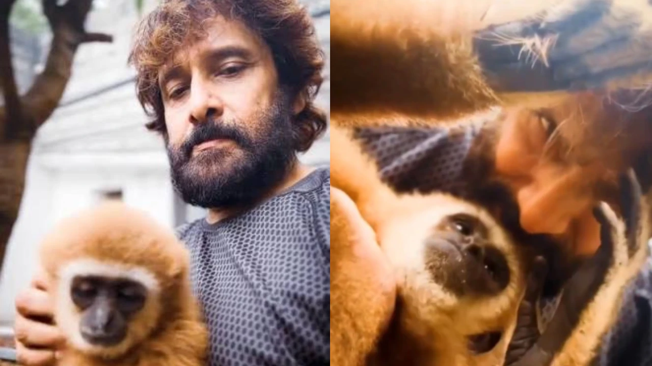Vikram's Lar Gibbon controversy: Actor's connection explained
