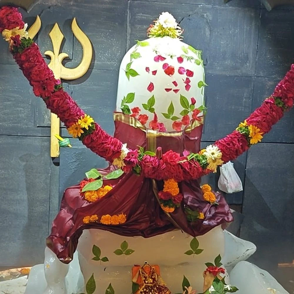 For the last 19 years, the Chhatreshwar-Patreshwar Mahadev temple will organise, distribute trees and conduct blood donation camps.