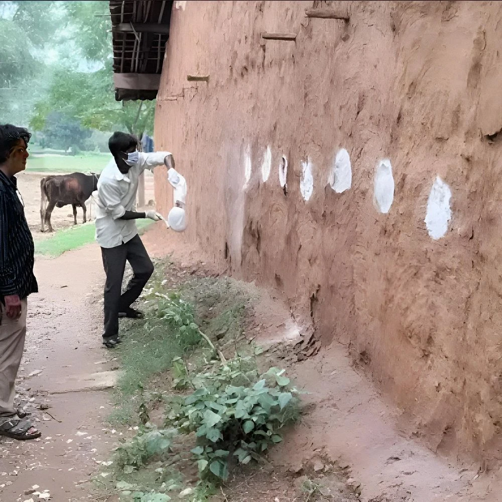 As a precautionary measure, pesticides were sprayed in the kutcha house: Health system alert over Chandipura virus in Mahisagar district