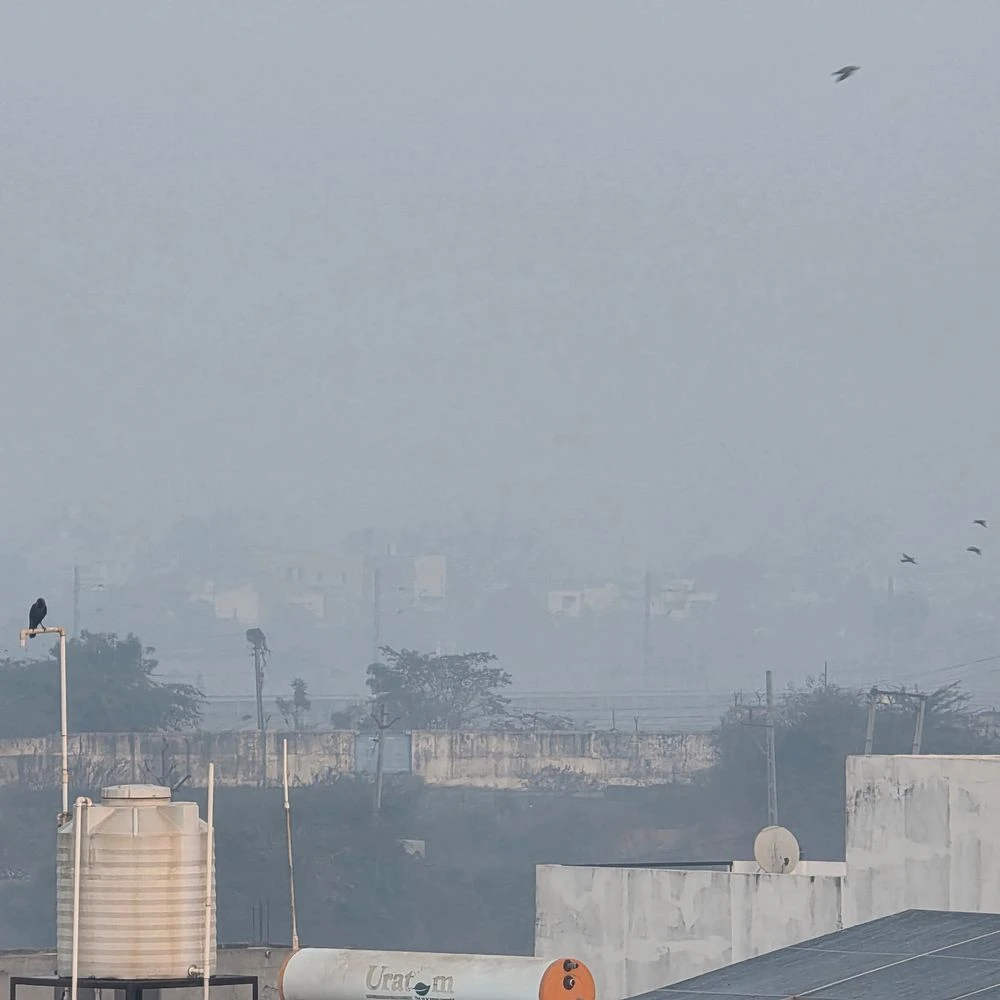 Fog engulfs Himmatnagar since early morning: Cold in Sabarkantha district; Farmers worried