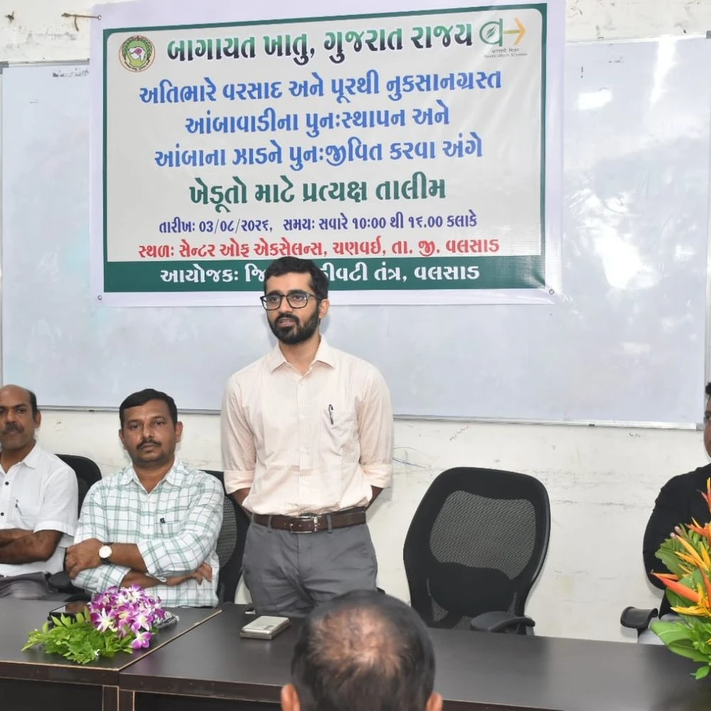 Unique initiative for flood prone mango orchards in Valsad: Office of Deputy Director of Horticulture imparted scientific training to more than 120 farmers