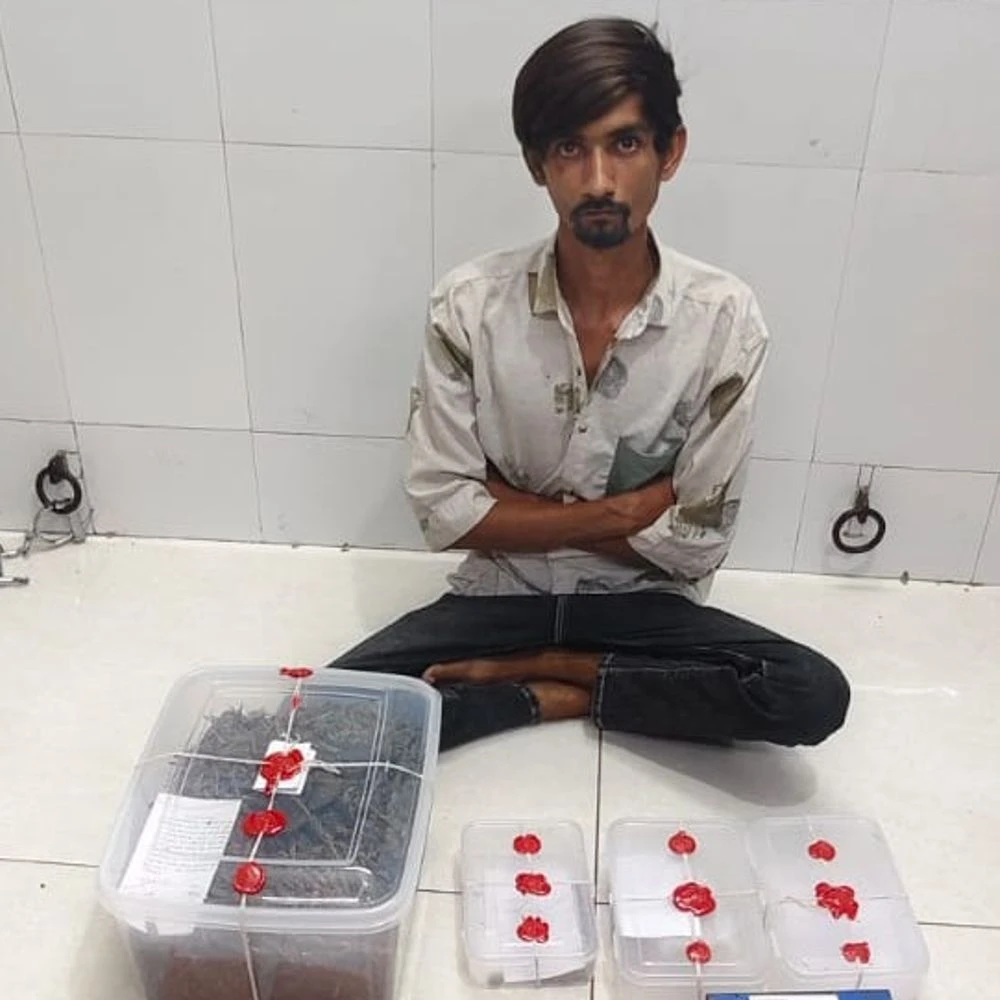 Ganja and hybrid ganja seized in Morbi: One accused arrested in SOG action, Rs. Seizure of goods worth Rs 1.45 lakh